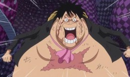 路飞最新果实爆料,神秘力量或将改变海贼世界格局